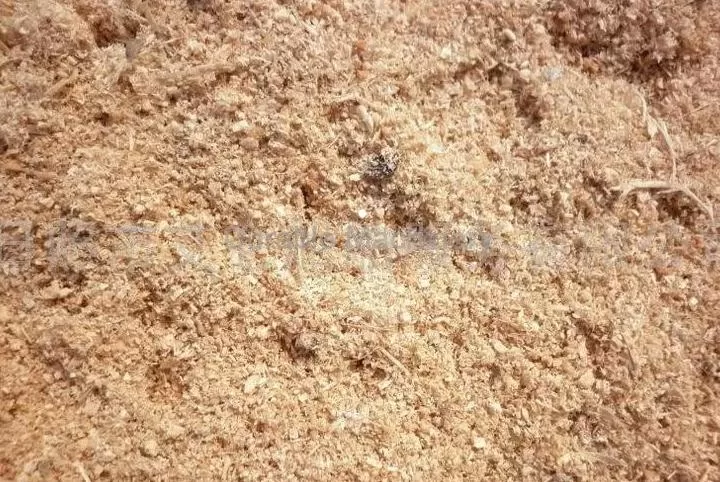 sawdust